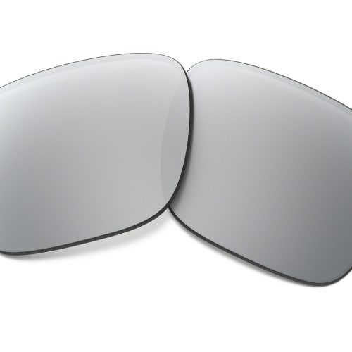 Replacement Lenses in Gray (2) 